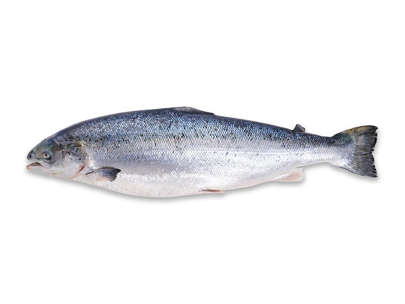 Fulton's Finest Atlantic Salmon Portion - 1ct - Image 6