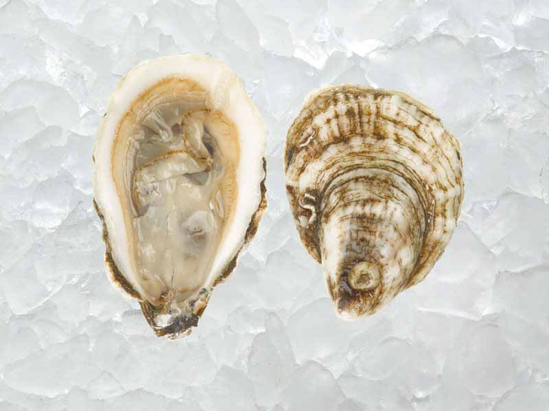 Blue Point East Coast Oysters - Image 2