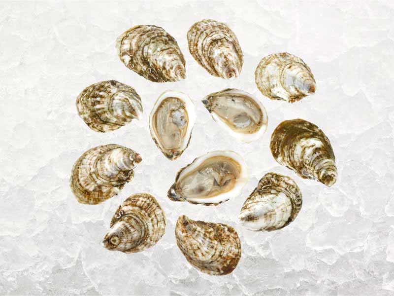 Blue Point East Coast Oysters - Image 3