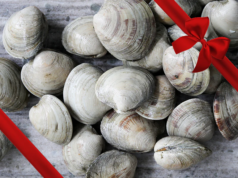 Countneck Clams - Gift