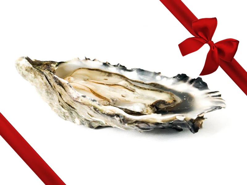 Hood Canal West Coast Oysters - Gift