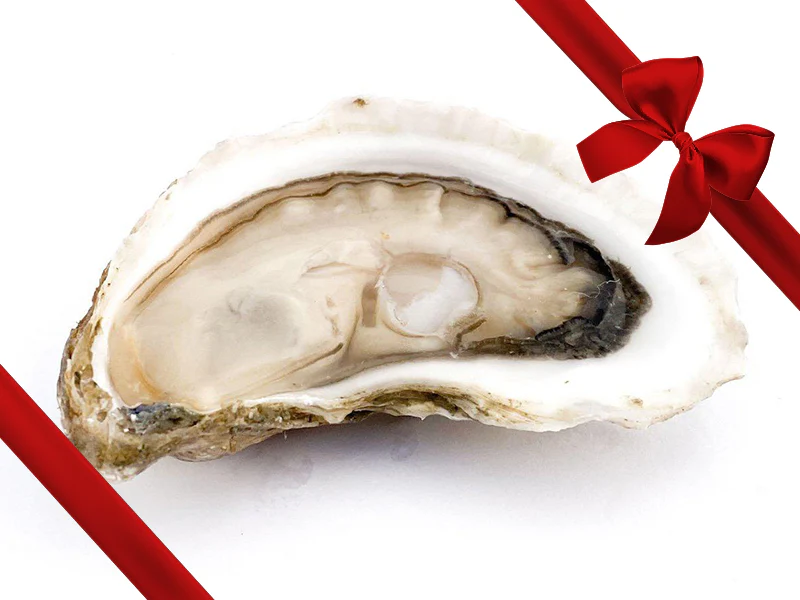 Large Goose Flat East Coast Oysters - Gift