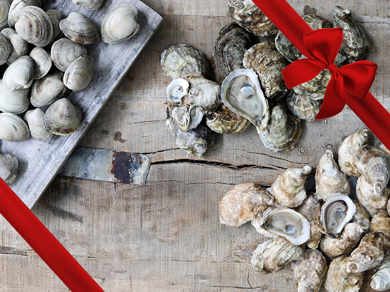 New England Raw Bar Bundle - Gift