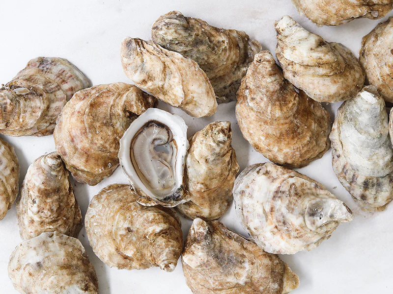 Petite Pink Moon East Coast Cocktail Oysters