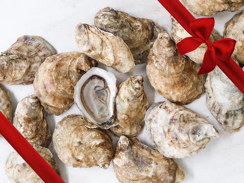 Petite Pink Moon East Coast Cocktail Oysters - Gift