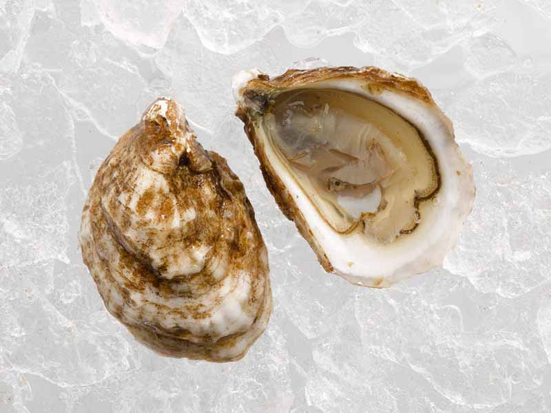 Petite Pink Moon East Coast Cocktail Oysters - Image 2