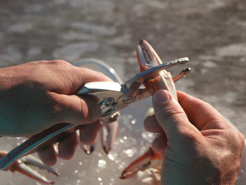 Toadfish Crab Cutter - Image 3