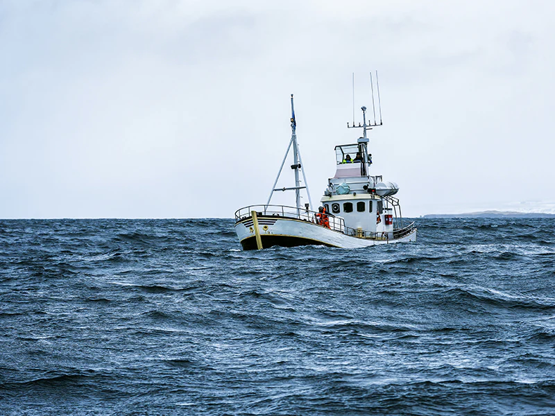 Wild Atlantic Cod Portion - 1ct - Image 6